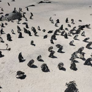 IMG20231227104311