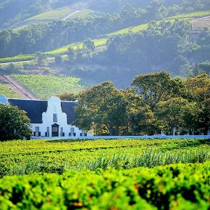 sa_wine-1024x700